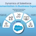 Dynamics of Salesforce Implementation in Business Expansion